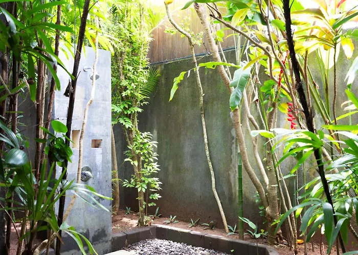 Damewa House Bed & Breakfast
